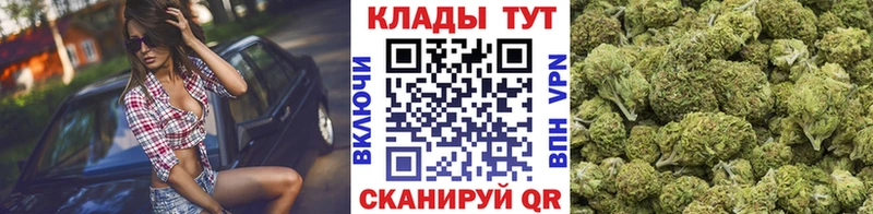 Где купить наркотики Зеленогорск блэк спрут Cocaine МЕФ Псилоцибиновые грибы Конопля ГАШИШ