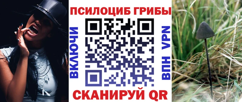 нарко площадка Telegram  Зеленогорск  Галлюциногенные грибы прущие грибы 