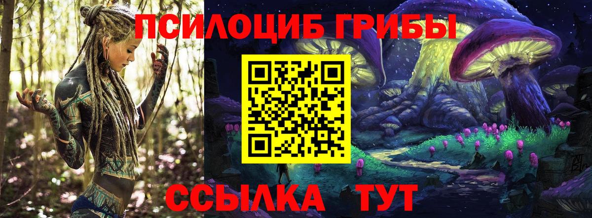 Галлюциногенные грибы GOLDEN TEACHER  Вход с VPN  Зеленогорск 