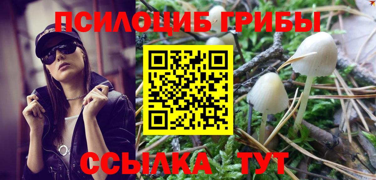 Галлюциногенные грибы мухоморы Зеленогорск