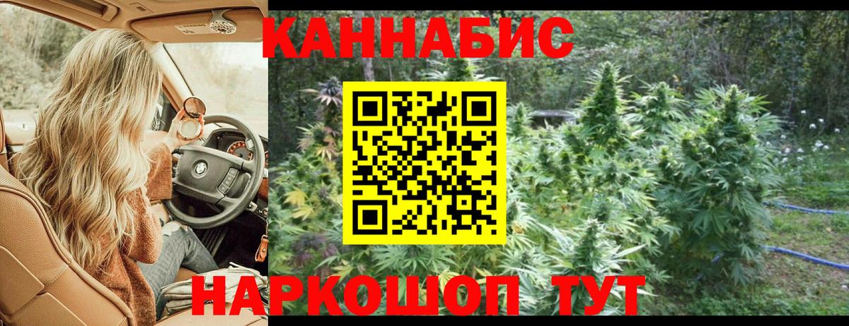Канабис конопля Зеленогорск